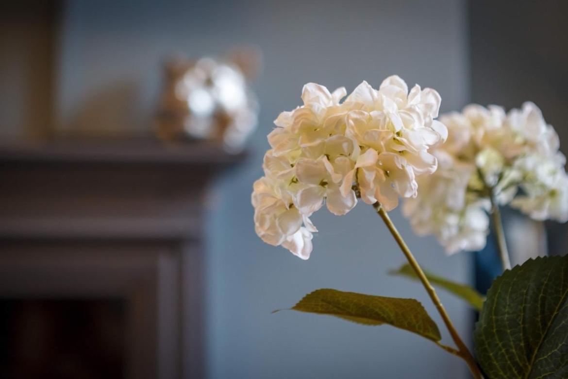 Willa Westbourne House Scarborough Zewnętrze zdjęcie